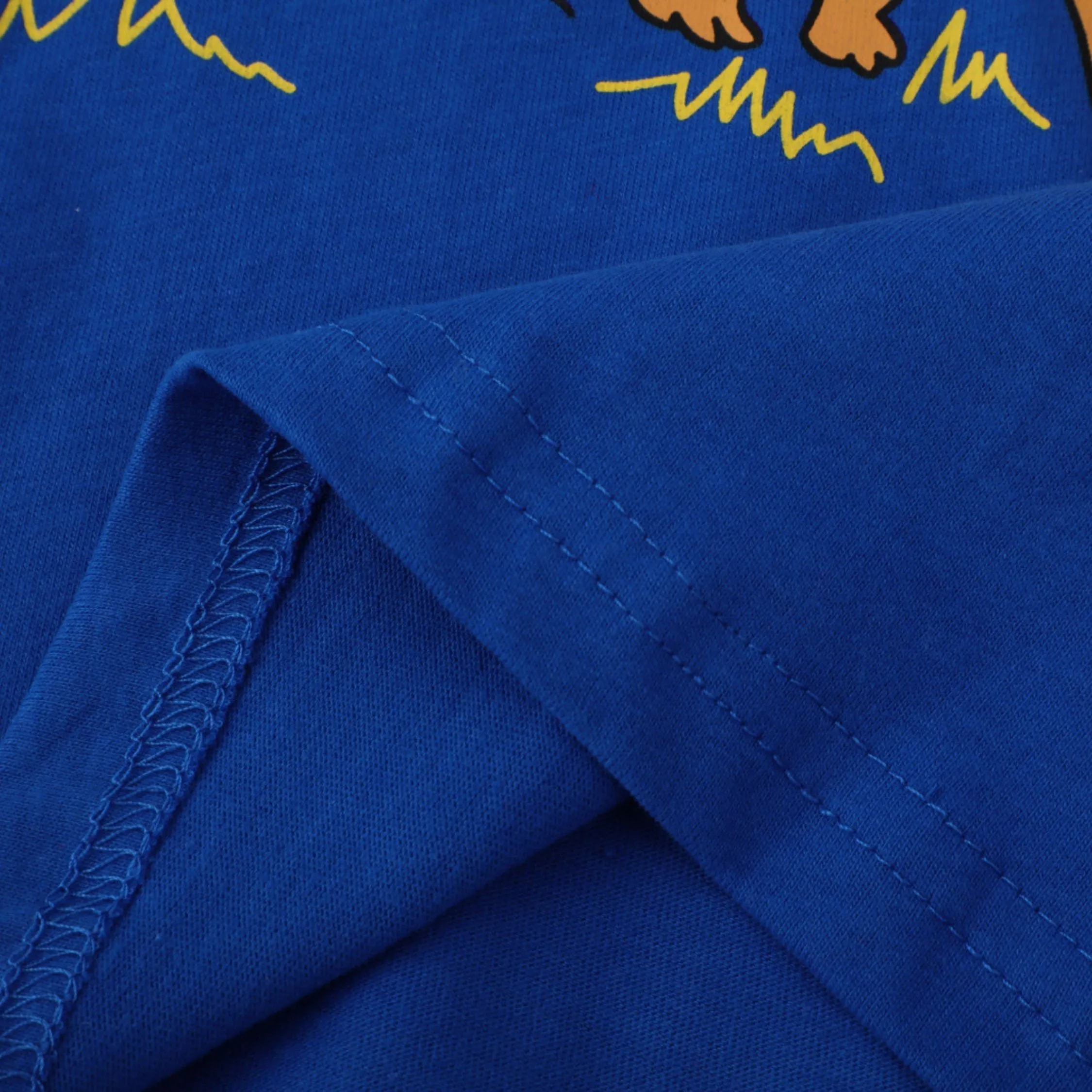 Boys Long Sleeve Dino Print Top Blue